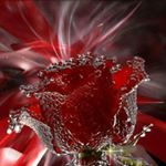 Cindy Becker - Instagram Profile Picture of Cindy Becker (@beckybecker680) on Instagram