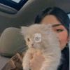 Profile Photo of ScottJones (@9f6sgpbg5m6) on Tiktok