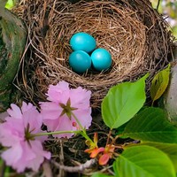 Azael Jaitovich  - Quora Profile Picture of Azael Jaitovich  (@azael-jaitovich) on Quora