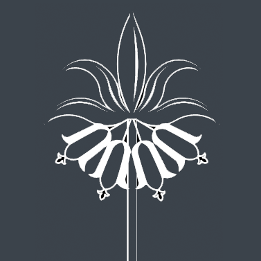 Profile Picture of David Loy (@David_YGD) on Twitter