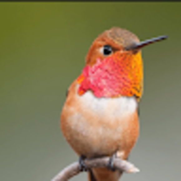 Profile Picture of C Baylock (@callibaylock) on Poshmark