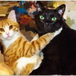 Profile Picture of Grady (@gradymckay70n) on Instagram