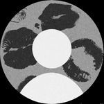 Profile Picture of Nicholas Long (@nicholas_long02) on Instagram