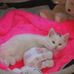 Profile Picture of Kitty Keller (@kitty.keller.75) on Facebook