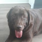 Profile Picture of Daniel McGuinness (@daniel.mcbrearty.52) on Instagram