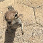 Profile Picture of Paula Blum (@blum7169) on Instagram