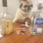 Profile Picture of Prince Edward Sr. (@edward.pichel) on Instagram