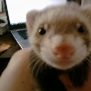 Profile Picture of Holly Wolfe (@myownwhitenight) on Myspace