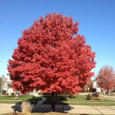Profile Picture of Bill Sharp (@BGTEN14) on Twitter