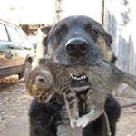 John Robertshaw - Instagram Profile Picture of John Robertshaw (@robertshawjohn) on Instagram