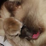 Profile Picture of marilyn fischer (@fischer3549jr) on Instagram