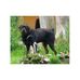 Profile Picture of Peter Hauber (@peter.hauber) on Facebook