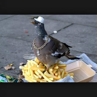 Profile Picture of Kaleb Bailey (@Kaleb-Bailey) on Facebook