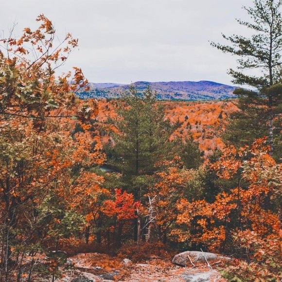 Profile Picture of Lucy Clark (@lucyjclark) on Poshmark