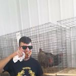 Profile Picture of Carl Tuck (@tuckyboii) on Instagram