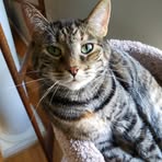 Profile Picture of Marc Reagan (@marc.reagan.2025) on Facebook