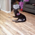 Profile Picture of Laura Laura McElroy (@Laura-Laura-McElroy) on Facebook