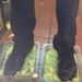 Profile Picture of Colin Kehoe (@kehoecolin01) on Pinterest