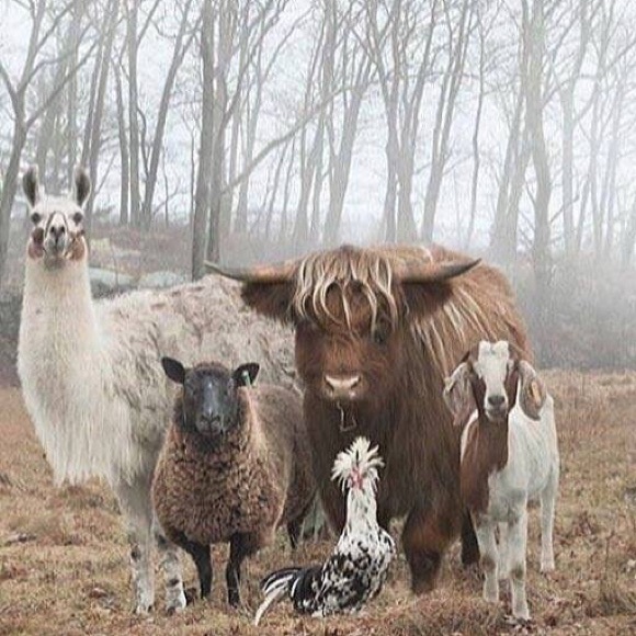 Kaelyn Marsollier - Poshmark Profile Picture of Kaelyn Marsollier (@kaelynm257) on Poshmark