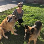 Profile Picture of Maria Rosa Gomez Valiente (@mariarosagomezvaliente) on Instagram