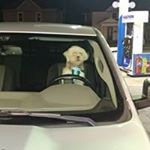 Profile Picture of James Winkle (@james_winkle) on Instagram