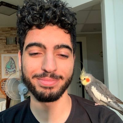 Profile Picture of Kamal Nasser (@kamaln7) on Twitter