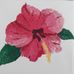 Profile Picture of Andrea Rodewald (@andrea.rodewald.9) on Facebook