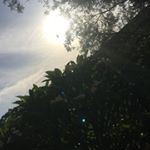 Profile Picture of Matthew Dawnson (@matthew.dawnson2019) on Instagram