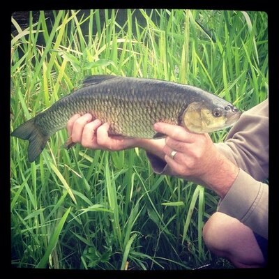 Profile Picture of Dan Winslade (@cossie6) on Twitter