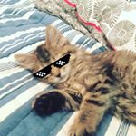 Profile Picture of William Weyland (@williamrweyland) on Instagram