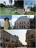 Profile Picture of Botoșanion Wikipedia