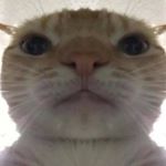 Profile Picture of Jose Mendiola (@juniorx_rl) on Instagram