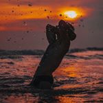 Profile Picture of Jose Rivera (@joserivera3267) on Instagram