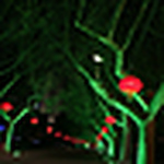 Profile Picture of Jian-wen Gu (@gu jian-wen) on Flickr