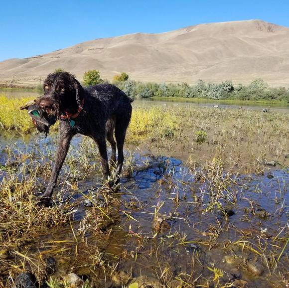 Mike Dinkel - Poshmark Profile Picture of Mike Dinkel (@shpoom2) on Poshmark