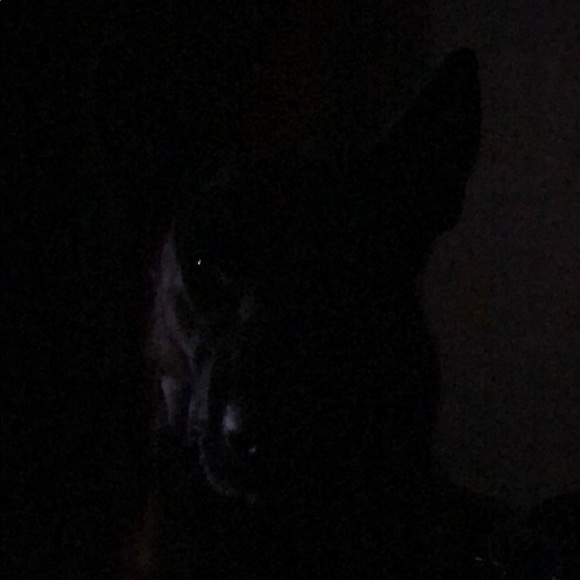 Profile Picture of Timothy Hurd (@darko524) on Poshmark