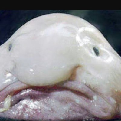 Profile Picture of Gekkie Milan (@mlan_plevier) on Twitter