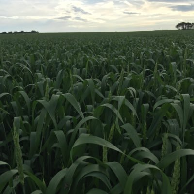 Profile Picture of Shaun Clark (@shaunRclark68) on Twitter