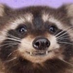 Profile Picture of Kyle Sanchez (@wildkyle9190v2) on Instagram