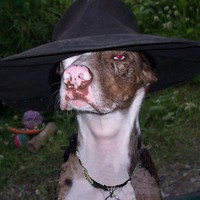 Paul Charlier - Quora Profile Picture of Paul Charlier (@paul-charlier-3) on Quora