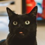 Profile Picture of Yifan Wang (@yifan0801) on Instagram