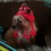 Profile Picture of Ruby Christiansen (@ruby.christiansen.16) on Facebook