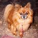 Profile Picture of Joyce Wehrman (@jwehrman47) on Pinterest