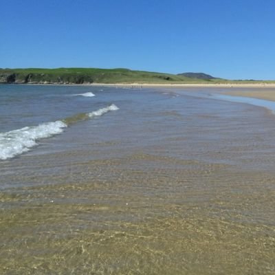 Profile Picture of Sean Grace (@seangrace_sg) on Twitter