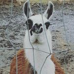 Profile Picture of erik_baxter_2011 (@erik_baxter_2011) on Instagram