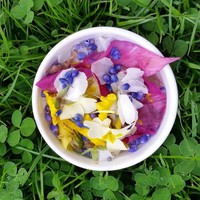 Profile Picture of Kate Ray (@kate-ray-7) on Quora