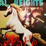 Jason Phillips - Instagram Profile Picture of Jason Phillips (@jtphillips7) on Instagram