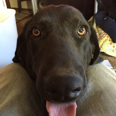Profile Picture of Jerry Edmonds Sr. (@kb8sem) on Twitter