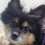 Charles Nicoletti - Instagram Profile Picture of Charles Nicoletti (@nicoletticharles) on Instagram