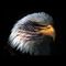 Profile Picture of Doug Long (@Doug-Long) on Facebook